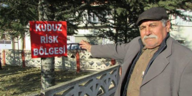 Sandıklı’da Kuduz Karantinası