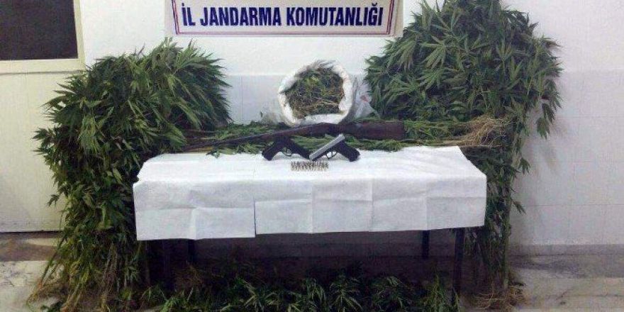 Aydın’da Uyuşturucu Operasyonu