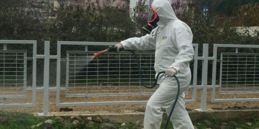 Ordu’da 700 Bin Hektarda Haşere Mücadelesi