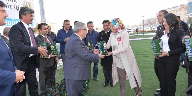 Öğretmenlere 2 Bin 23 Ceviz Fidanı