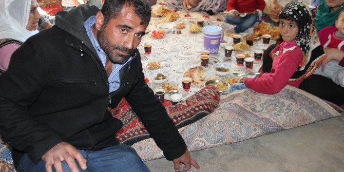 Bir Ferdini Kaybeden Ant Ailesinin Göçük Tedirginliği