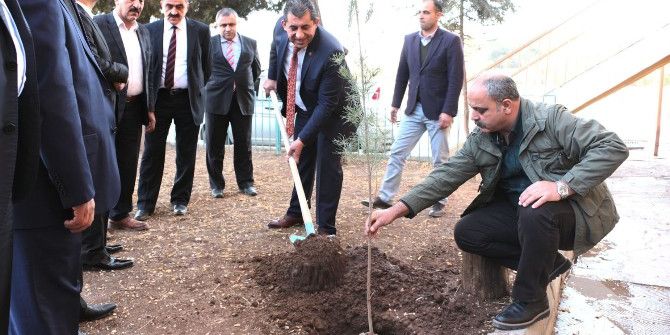 Öğretmenler Günü Anısına Fidan Dikimi