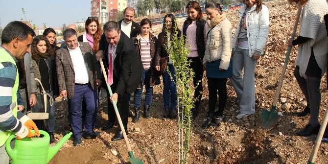 Buca’dan Öğretmenlere 3 Bin 942 Fidan