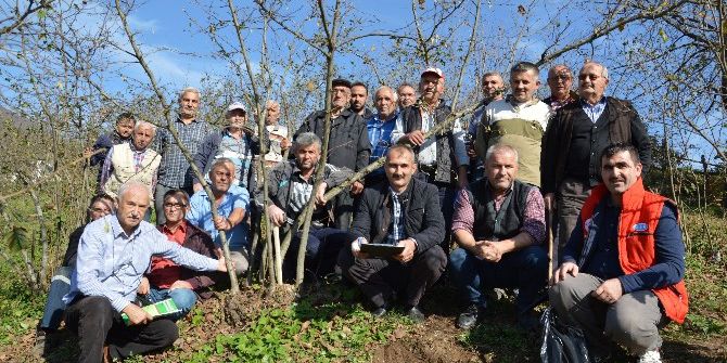 Fındık Yetiştiriciliğinde Budama Elemanı Benim Projesi