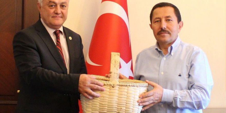 İspanya  Fındıklarını Türk Sepetleri İle Toplayacak