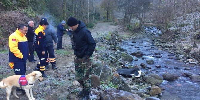 Alzheimer Hastası Ölü Bulundu