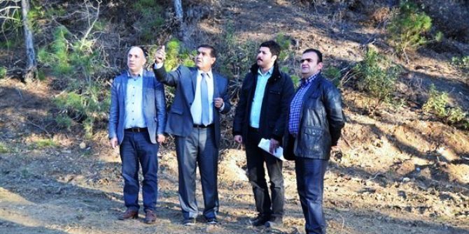 Gediz’de Kızılçam Ve Karaçam Gençleştirme Çalışmaları