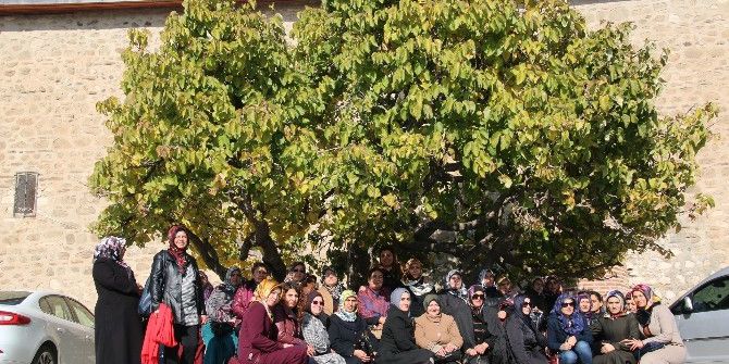 Elazığ Belediyesi Spor Merkezlerine Yoğun İlgi