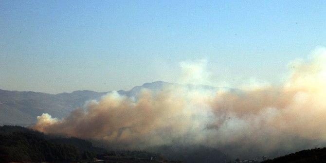 Hatay’ın Suriye Sınırında Orman Yangını