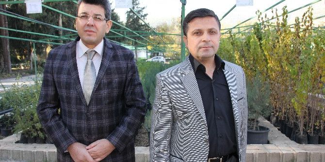 Hatay Orman Fidanlığı 2016 Yılında 6 Milyon Fidan Üretti