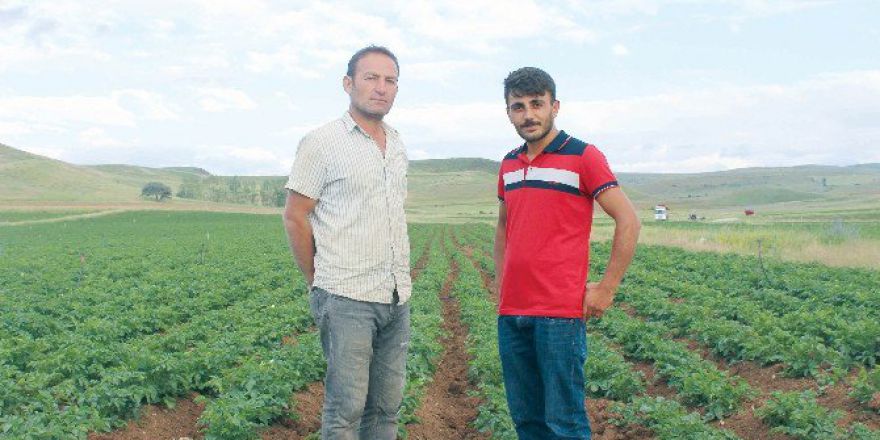 Gümüşhane’nin Köse İlçesinde Karadeniz’e Yetecek Patates Var Depo Yok