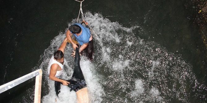 Sulama Kanalında Can Pazarı: 2 Ölü, 1 Yaralı