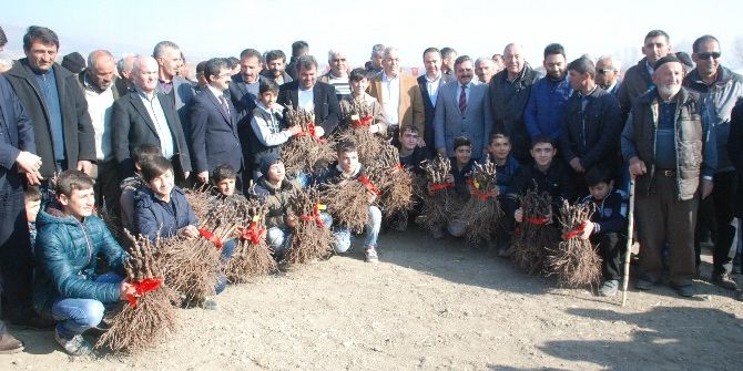 Tokat’ta 800 Dekarlık Modern Bağ Tesisi Kuruldu