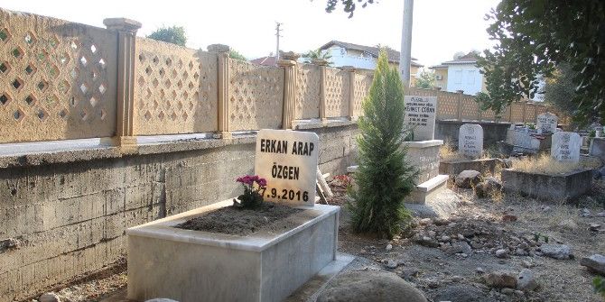 Ölen Kedisini Mezarlığa Gömüp, Mezar Taşı Yaptırdı