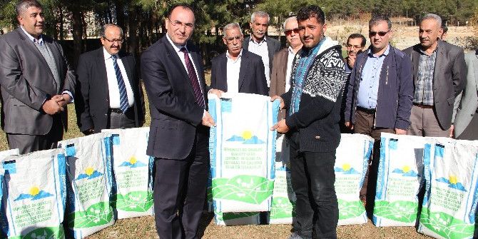 Organik Arıcılık Yapanlara Arıotu Tohumu Dağıtıldı