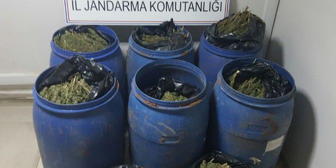 Mardin’de Esrar Operasyonu: 2 Gözaltı