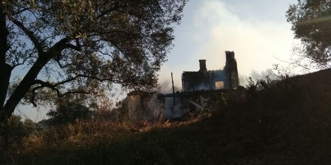 Zeytin Arazisinde Çıkan Yangın Korkuttu