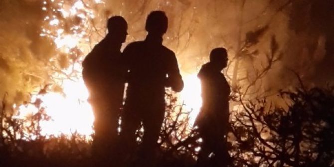 Bolu’daki Orman Yangını Kontrol Altına Alındı