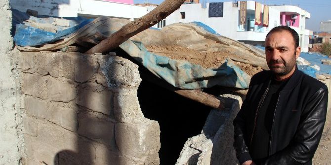 Hırsızlar 22 Küçükbaş Hayvanı Çaldı