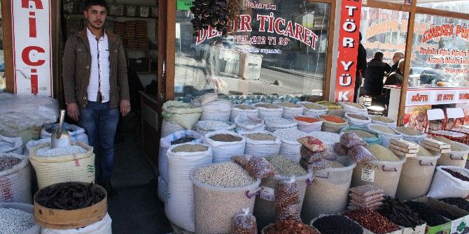 Nohut Ve Yeşil Mercimek Birbiriyle Yarışıyor