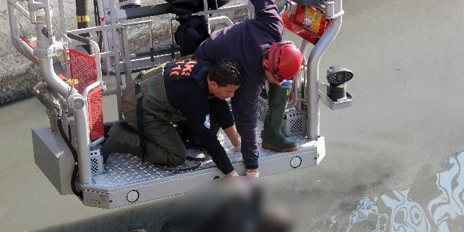 İzmir’de Derede Ceset Bulundu