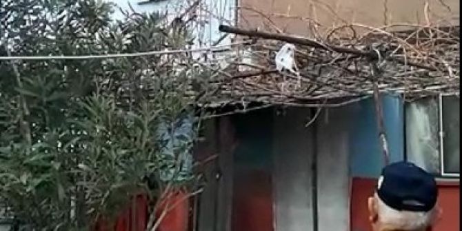 Prizde Unutulan Elektrikli Battaniye Yangın Çıkardı