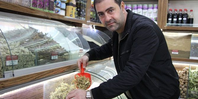 Fiyatına Rağmen Ihlamur Rağbet Görüyor