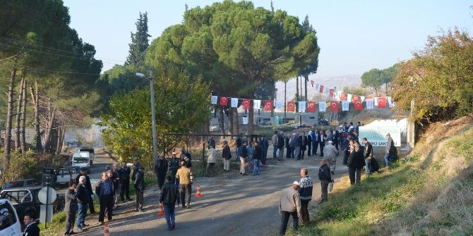 Manisalı Zeytin Üreticisine Tam Destek