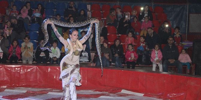 Arena Sirki Büyüledi