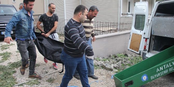 Antalya’da Yaşayan Belçikalı, Evinde Ölü Bulundu