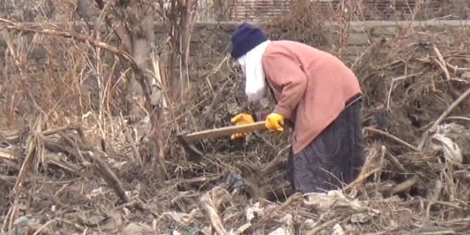 Yaşlı Kadının Yakacak Telaşı