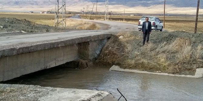 Karagündüz Halkı Kayyumlardan Yardım Bekliyor