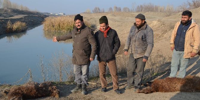 Kanalizasyon Karışan Su Kanalı Tehlike Saçıyor