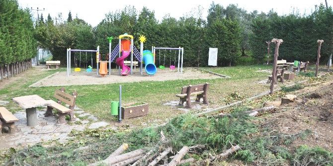 Parklara Kış Bakımı