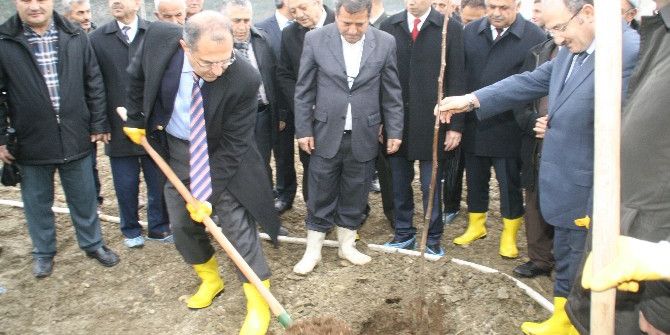 Devrek’te Örnek Kapama Ceviz Bahçesi