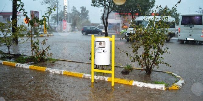 Ayvalık’ta Hortum Ağaçları Devirdi, Çatıları Uçurdu