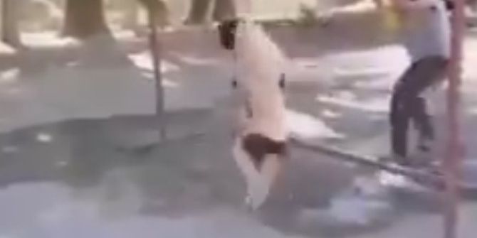 Köpeğe İşkence Görüntüleri Tepki Topladı