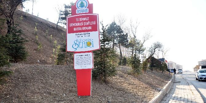 Pursaklar’da 15 Temmuz Demokrasi Şehitleri Hatıra Ormanı Oluşturuldu