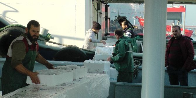 Baba Mesleği Balıkçılık İçin 4 Yıl Okuduğu Mesleğini Bıraktı