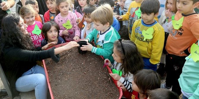 Minikler, Mezitli Belediyesi Fidanlığında Çiçek Dikmeyi Öğrendi