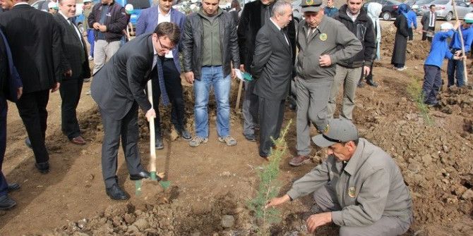 Yığılca’da Şehitler Ve Gaziler Hatıra Ormanı Tesis Edildi