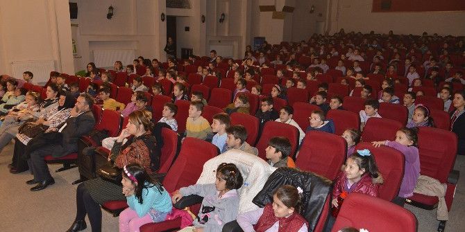 Çevreci Kedi Çevki