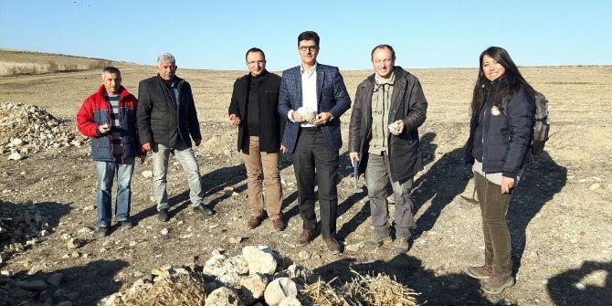 Süs Taşları Mecitözü Ekonomisine Katkı Sağlayacak