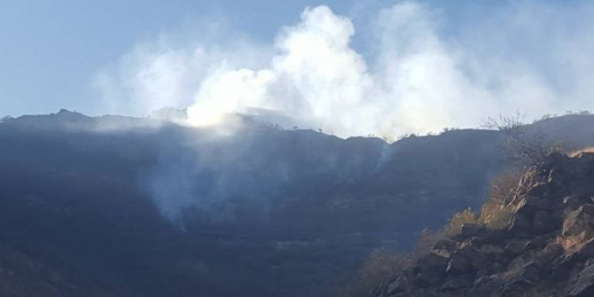 Beytüşşebap’ta Orman Yangını