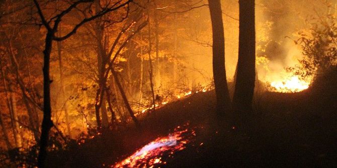 Ordu’da Orman Yangını