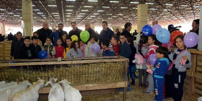 Bu Organizasyona En Çok Çocuklar Sevindi