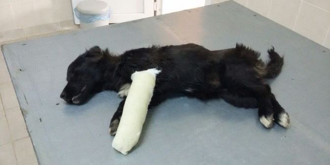 Minik Garip’e Alaşehir Belediyesi Sahip Çıktı