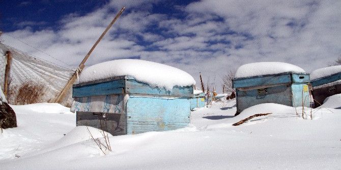 Evliyaoğlu: "Kar Altında Kışlatma, Arının Ömrünü Uzatıyor"