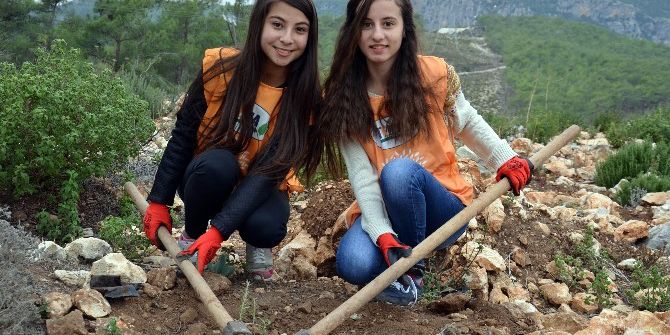 Erdemli’de 2 Bin Fidan Dikildi