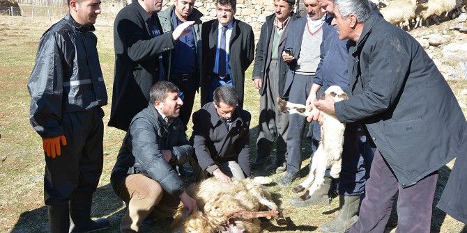 Çatak’ta Sürü Yönetimi Elemanı Kursu